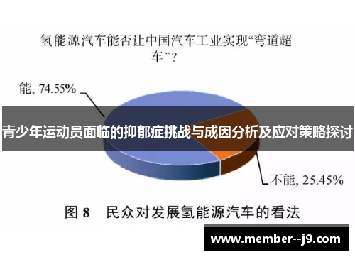 青少年运动员面临的抑郁症挑战与成因分析及应对策略探讨