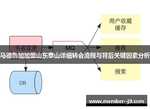 马德鲁加加盟山东泰山详细转会流程与背后关键因素分析
